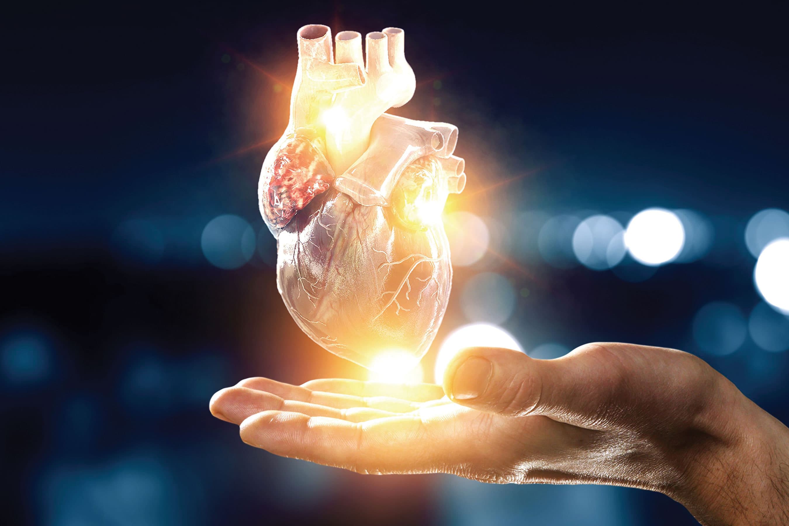 A glowing, illuminated digital graphic representation of a human heart resting in open hands.
