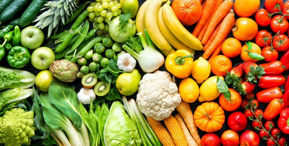 The Basics of Nutrition — Cover